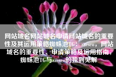 网站域名网站域名申请网站域名的重要性及其运用策略蜘蛛池TG：zzcseo，网站域名的重要性、申请策略及运用指南，蜘蛛池TG与zzcseo的独到见解