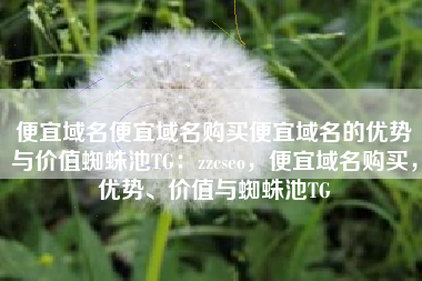便宜域名便宜域名购买便宜域名的优势与价值蜘蛛池TG：zzcseo，便宜域名购买，优势、价值与蜘蛛池TG