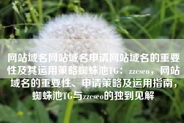 网站域名网站域名申请网站域名的重要性及其运用策略蜘蛛池TG：zzcseo，网站域名的重要性、申请策略及运用指南，蜘蛛池TG与zzcseo的独到见解