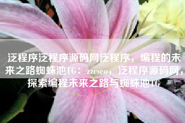 泛程序泛程序源码网泛程序，编程的未来之路蜘蛛池TG：zzcseo，泛程序源码网，探索编程未来之路与蜘蛛池TG
