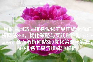 网站seo网站seo排名优化工具在线全面解析网站SEO，优化策略与实践蜘蛛池TG：zzcseo，全面解析网站SEO优化策略与实践，SEO排名工具与蜘蛛池解析