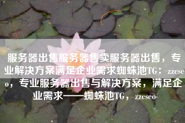 服务器出售服务器售卖服务器出售，专业解决方案满足企业需求蜘蛛池TG：zzcseo，专业服务器出售与解决方案，满足企业需求——蜘蛛池TG，zzcseo