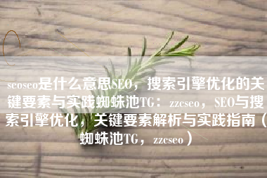 seoseo是什么意思SEO，搜索引擎优化的关键要素与实践蜘蛛池TG：zzcseo，SEO与搜索引擎优化，关键要素解析与实践指南（蜘蛛池TG，zzcseo）