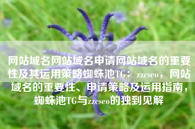 网站域名网站域名申请网站域名的重要性及其运用策略蜘蛛池TG：zzcseo，网站域名的重要性、申请策略及运用指南，蜘蛛池TG与zzcseo的独到见解
