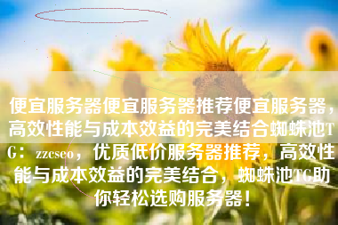 便宜服务器便宜服务器推荐便宜服务器，高效性能与成本效益的完美结合蜘蛛池TG：zzcseo，优质低价服务器推荐，高效性能与成本效益的完美结合，蜘蛛池TG助你轻松选购服务器！
