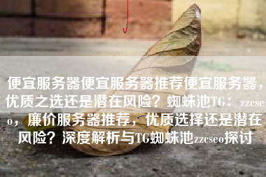 便宜服务器便宜服务器推荐便宜服务器，优质之选还是潜在风险？蜘蛛池TG：zzcseo，廉价服务器推荐，优质选择还是潜在风险？深度解析与TG蜘蛛池zzcseo探讨