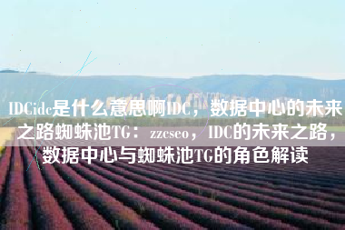 IDCidc是什么意思啊IDC，数据中心的未来之路蜘蛛池TG：zzcseo，IDC的未来之路，数据中心与蜘蛛池TG的角色解读