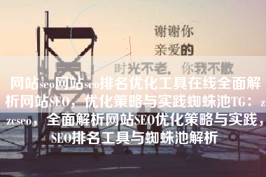 网站seo网站seo排名优化工具在线全面解析网站SEO，优化策略与实践蜘蛛池TG：zzcseo，全面解析网站SEO优化策略与实践，SEO排名工具与蜘蛛池解析