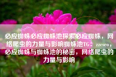 必应蜘蛛必应蜘蛛池探索必应蜘蛛，网络爬虫的力量与影响蜘蛛池TG：zzcseo，必应蜘蛛与蜘蛛池的秘密，网络爬虫的力量与影响