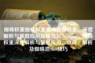 蜘蛛权重蜘蛛权重查询蜘蛛权重，深度解析与策略应用蜘蛛池TG：zzcseo，蜘蛛权重深度解析与策略应用，查询、解析及蜘蛛池SEO技巧