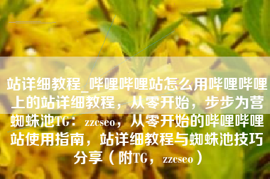 站详细教程_哔哩哔哩站怎么用哔哩哔哩上的站详细教程，从零开始，步步为营蜘蛛池TG：zzcseo，从零开始的哔哩哔哩站使用指南，站详细教程与蜘蛛池技巧分享（附TG，zzcseo）