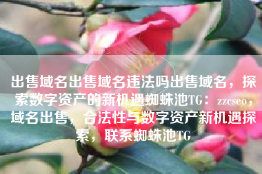 出售域名出售域名违法吗出售域名，探索数字资产的新机遇蜘蛛池TG：zzcseo，域名出售，合法性与数字资产新机遇探索，联系蜘蛛池TG