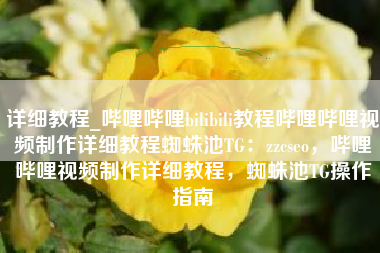 详细教程_哔哩哔哩bilibili教程哔哩哔哩视频制作详细教程蜘蛛池TG：zzcseo，哔哩哔哩视频制作详细教程，蜘蛛池TG操作指南