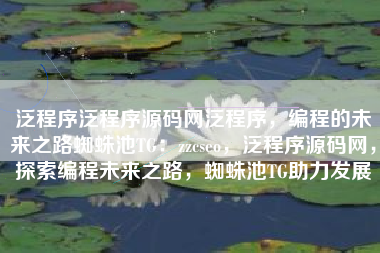 泛程序泛程序源码网泛程序，编程的未来之路蜘蛛池TG：zzcseo，泛程序源码网，探索编程未来之路，蜘蛛池TG助力发展