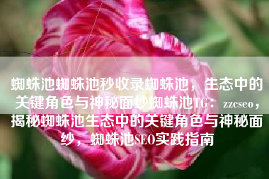 蜘蛛池蜘蛛池秒收录蜘蛛池，生态中的关键角色与神秘面纱蜘蛛池TG：zzcseo，揭秘蜘蛛池生态中的关键角色与神秘面纱，蜘蛛池SEO实践指南