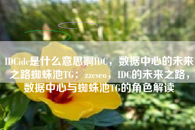 IDCidc是什么意思啊IDC，数据中心的未来之路蜘蛛池TG：zzcseo，IDC的未来之路，数据中心与蜘蛛池TG的角色解读