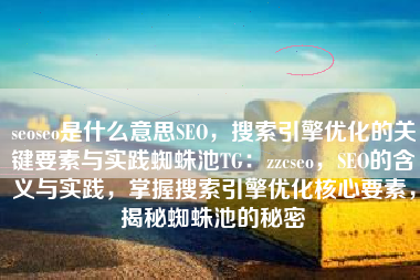 seoseo是什么意思SEO，搜索引擎优化的关键要素与实践蜘蛛池TG：zzcseo，SEO的含义与实践，掌握搜索引擎优化核心要素，揭秘蜘蛛池的秘密