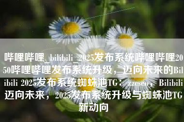 哔哩哔哩_bilibili_2025发布系统哔哩哔哩2050哔哩哔哩发布系统升级，迈向未来的Bilibili 2025发布系统蜘蛛池TG：zzcseo，Bilibili迈向未来，2025发布系统升级与蜘蛛池TG新动向