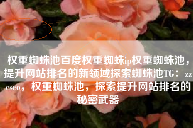权重蜘蛛池百度权重蜘蛛ip权重蜘蛛池，提升网站排名的新领域探索蜘蛛池TG：zzcseo，权重蜘蛛池，探索提升网站排名的秘密武器