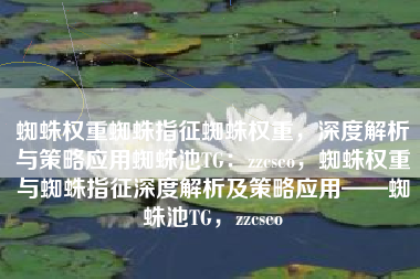 蜘蛛权重蜘蛛指征蜘蛛权重，深度解析与策略应用蜘蛛池TG：zzcseo，蜘蛛权重与蜘蛛指征深度解析及策略应用——蜘蛛池TG，zzcseo