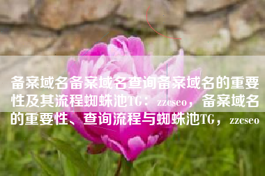 备案域名备案域名查询备案域名的重要性及其流程蜘蛛池TG：zzcseo，备案域名的重要性、查询流程与蜘蛛池TG，zzcseo