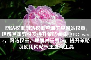 网站权重网站权重查询工具网站权重，理解其重要性及提升策略蜘蛛池TG：zzcseo，网站权重，理解其重要性、提升策略及使用网站权重查询工具