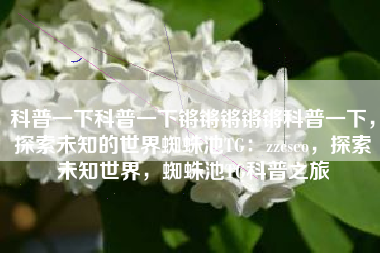 科普一下科普一下锵锵锵锵锵科普一下，探索未知的世界蜘蛛池TG：zzcseo，探索未知世界，蜘蛛池TG科普之旅