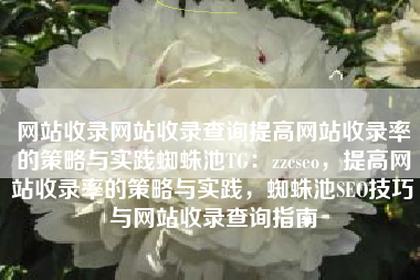网站收录网站收录查询提高网站收录率的策略与实践蜘蛛池TG：zzcseo，提高网站收录率的策略与实践，蜘蛛池SEO技巧与网站收录查询指南