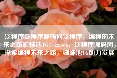 泛程序泛程序源码网泛程序，编程的未来之路蜘蛛池TG：zzcseo，泛程序源码网，探索编程未来之路，蜘蛛池TG助力发展