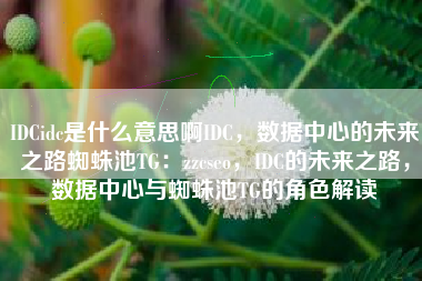 IDCidc是什么意思啊IDC，数据中心的未来之路蜘蛛池TG：zzcseo，IDC的未来之路，数据中心与蜘蛛池TG的角色解读