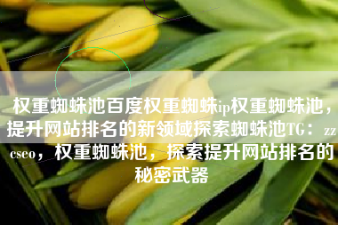 权重蜘蛛池百度权重蜘蛛ip权重蜘蛛池，提升网站排名的新领域探索蜘蛛池TG：zzcseo，权重蜘蛛池，探索提升网站排名的秘密武器