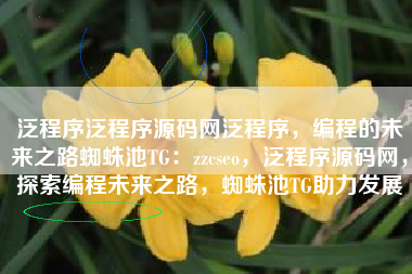 泛程序泛程序源码网泛程序，编程的未来之路蜘蛛池TG：zzcseo，泛程序源码网，探索编程未来之路，蜘蛛池TG助力发展