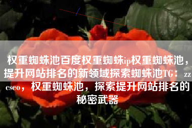 权重蜘蛛池百度权重蜘蛛ip权重蜘蛛池，提升网站排名的新领域探索蜘蛛池TG：zzcseo，权重蜘蛛池，探索提升网站排名的秘密武器