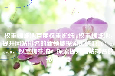 权重蜘蛛池百度权重蜘蛛ip权重蜘蛛池，提升网站排名的新领域探索蜘蛛池TG：zzcseo，权重蜘蛛池，探索提升网站排名的秘密武器