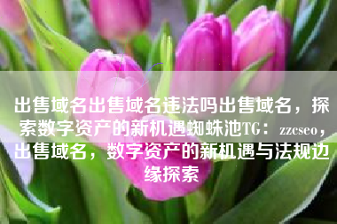 出售域名出售域名违法吗出售域名，探索数字资产的新机遇蜘蛛池TG：zzcseo，出售域名，数字资产的新机遇与法规边缘探索
