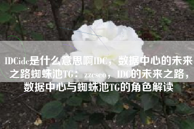 IDCidc是什么意思啊IDC，数据中心的未来之路蜘蛛池TG：zzcseo，IDC的未来之路，数据中心与蜘蛛池TG的角色解读