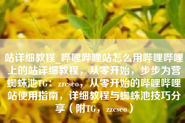 站详细教程_哔哩哔哩站怎么用哔哩哔哩上的站详细教程，从零开始，步步为营蜘蛛池TG：zzcseo，从零开始的哔哩哔哩站使用指南，详细教程与蜘蛛池技巧分享（附TG，zzcseo）