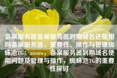 备案服务器备案服务器到期域名还能用吗备案服务器，重要性、操作与管理蜘蛛池TG：zzcseo，备案服务器到期域名使用问题及管理与操作，蜘蛛池TG的重要性探讨