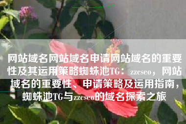 网站域名网站域名申请网站域名的重要性及其运用策略蜘蛛池TG：zzcseo，网站域名的重要性、申请策略及运用指南，蜘蛛池TG与zzcseo的域名探索之旅
