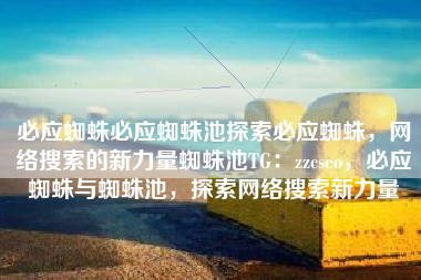 必应蜘蛛必应蜘蛛池探索必应蜘蛛，网络搜索的新力量蜘蛛池TG：zzcseo，必应蜘蛛与蜘蛛池，探索网络搜索新力量