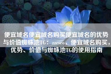 便宜域名便宜域名购买便宜域名的优势与价值蜘蛛池TG：zzcseo，便宜域名购买，优势、价值与蜘蛛池TG的使用指南