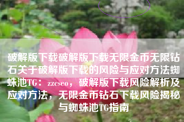 破解版下载破解版下载无限金币无限钻石关于破解版下载的风险与应对方法蜘蛛池TG：zzcseo，破解版下载风险解析及应对方法，无限金币钻石下载风险揭秘与蜘蛛池TG指南
