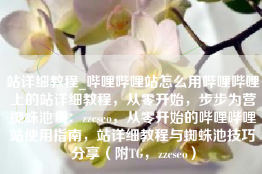 站详细教程_哔哩哔哩站怎么用哔哩哔哩上的站详细教程，从零开始，步步为营蜘蛛池TG：zzcseo，从零开始的哔哩哔哩站使用指南，站详细教程与蜘蛛池技巧分享（附TG，zzcseo）