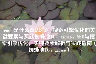 seoseo是什么意思SEO，搜索引擎优化的关键要素与实践蜘蛛池TG：zzcseo，SEO与搜索引擎优化，关键要素解析与实践指南（蜘蛛池TG，zzcseo）