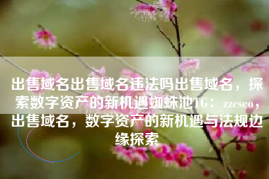 出售域名出售域名违法吗出售域名，探索数字资产的新机遇蜘蛛池TG：zzcseo，出售域名，数字资产的新机遇与法规边缘探索