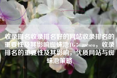 收录排名收录排名好的网站收录排名的重要性及其影响蜘蛛池TG：zzcseo，收录排名的重要性及其影响，优质网站与蜘蛛池策略
