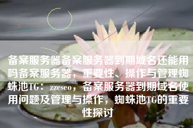 备案服务器备案服务器到期域名还能用吗备案服务器，重要性、操作与管理蜘蛛池TG：zzcseo，备案服务器到期域名使用问题及管理与操作，蜘蛛池TG的重要性探讨
