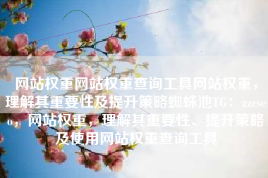 网站权重网站权重查询工具网站权重，理解其重要性及提升策略蜘蛛池TG：zzcseo，网站权重，理解其重要性、提升策略及使用网站权重查询工具