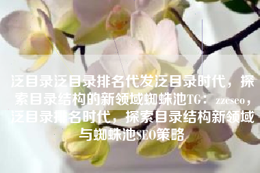 泛目录泛目录排名代发泛目录时代，探索目录结构的新领域蜘蛛池TG：zzcseo，泛目录排名时代，探索目录结构新领域与蜘蛛池SEO策略