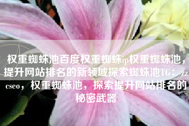 权重蜘蛛池百度权重蜘蛛ip权重蜘蛛池，提升网站排名的新领域探索蜘蛛池TG：zzcseo，权重蜘蛛池，探索提升网站排名的秘密武器